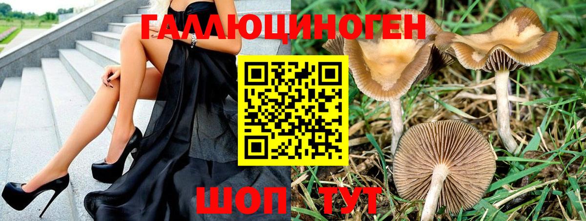 Галлюциногенные грибы GOLDEN TEACHER Нижний Тагил
